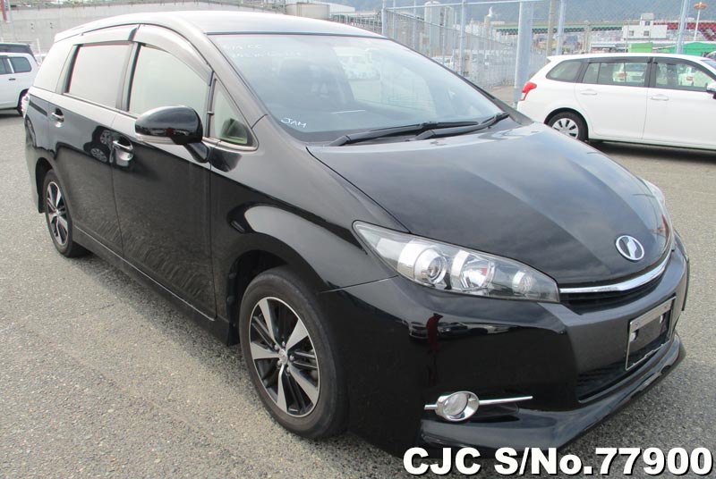 Toyota wish мухобойка